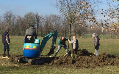 120 nuovi alberi al Parco Nilde Iotti