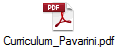 Curriculum_Pavarini.pdf