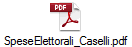SpeseElettorali_Caselli.pdf