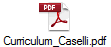 Curriculum_Caselli.pdf